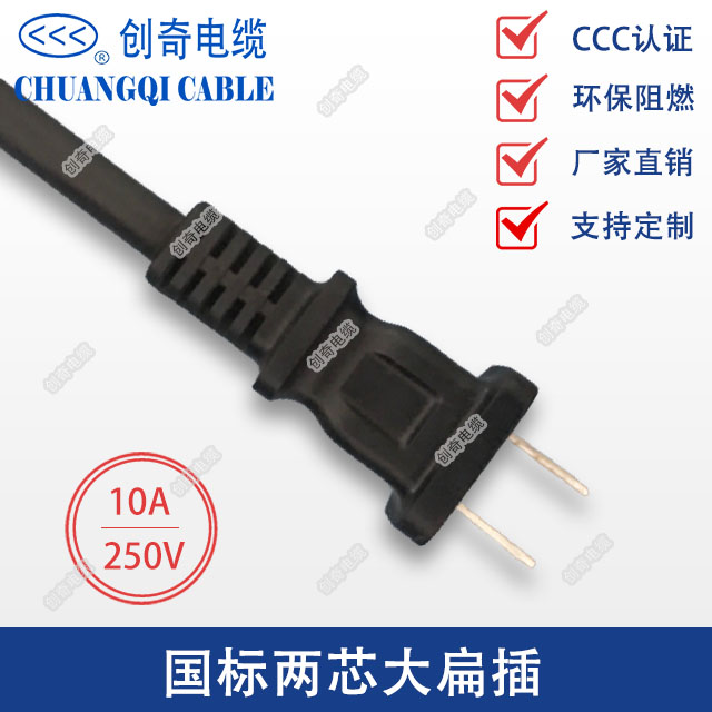 国标两芯大扁插